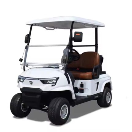 48V & 72V Electric Golf Cart Street Legal Small Golf Cart